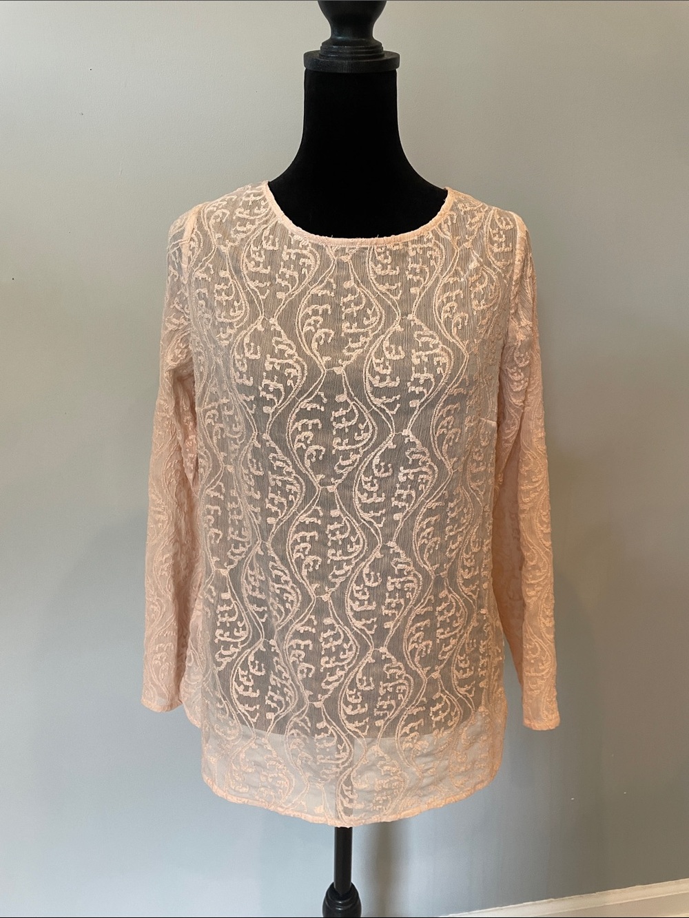 LOFT Blush Lace Long-Sleeve Overlay Top